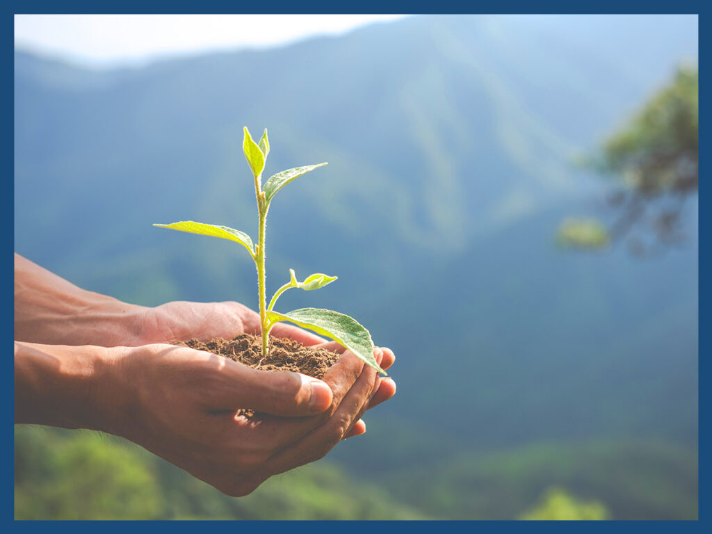 Image of a person holding a plant